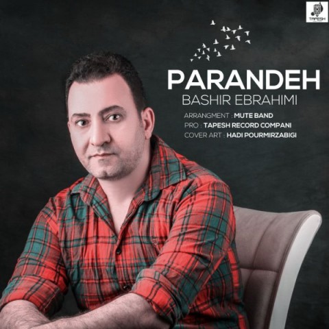 دانلود آهنگ بشیر ابراهیمی پرنده با کیفیت 320